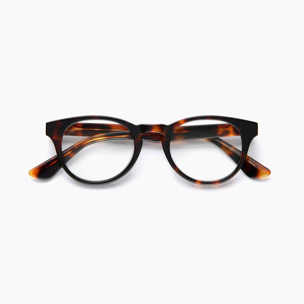 Atelier — Tortoise