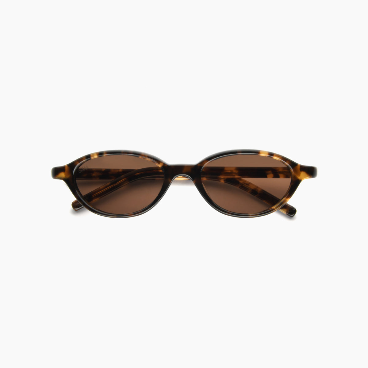 Alien — Tortoise / Brown