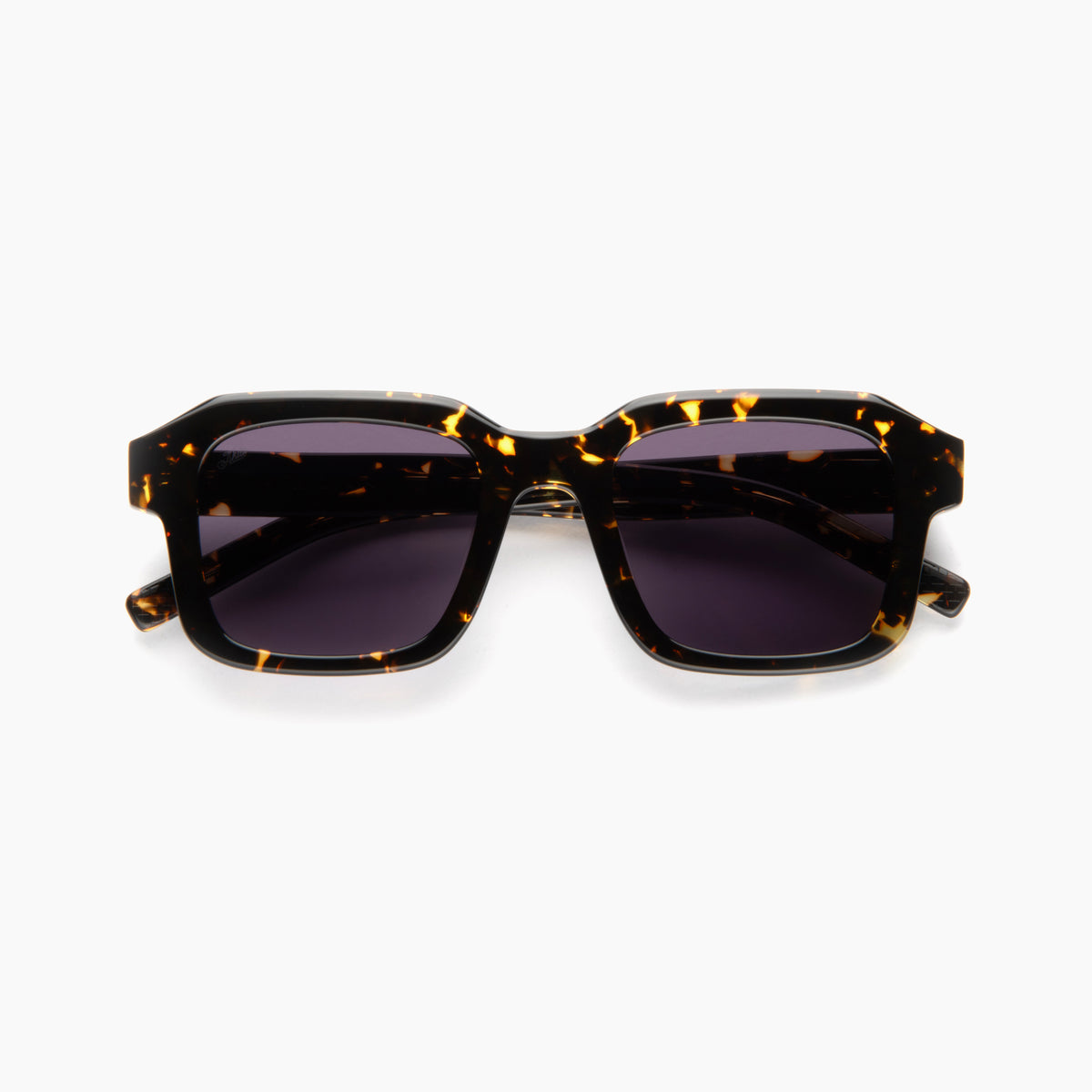 Vera — Tokyo Tortoise / Purple