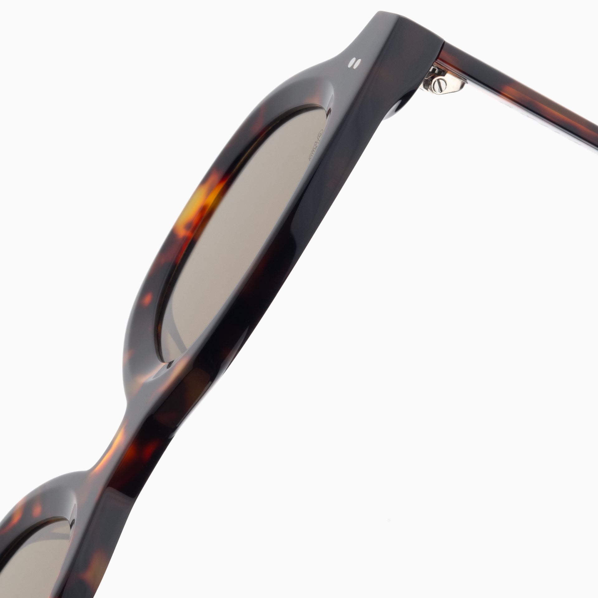 Tortoise / Brown