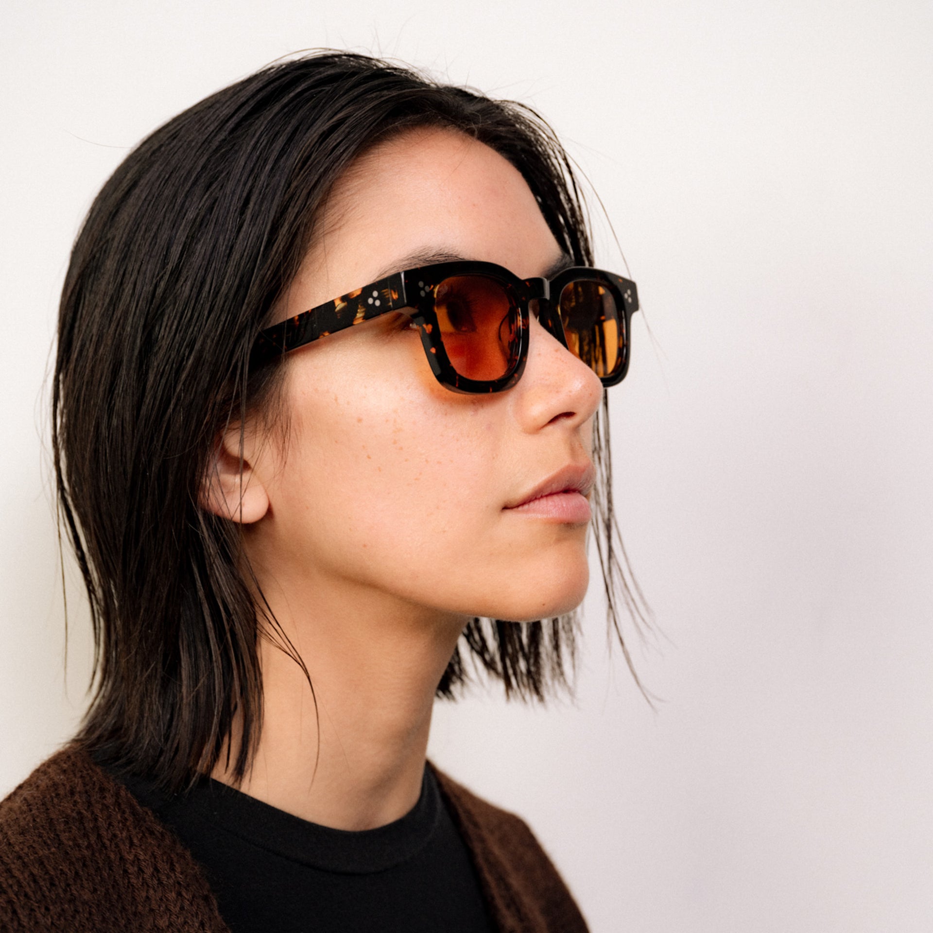 Tokyo Tortoise / Orange