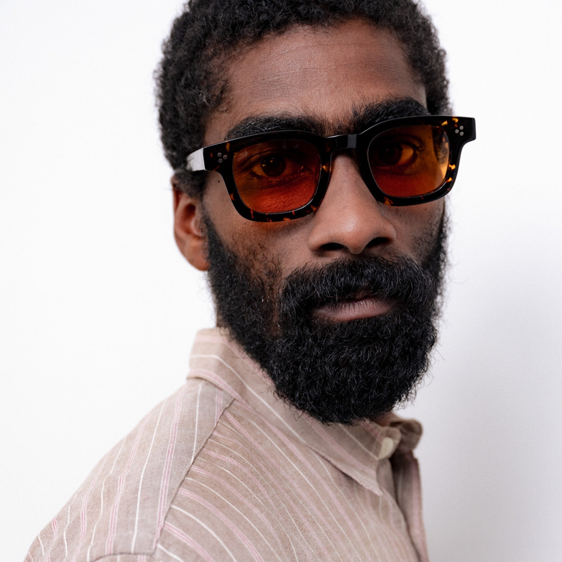 Tokyo Tortoise / Orange