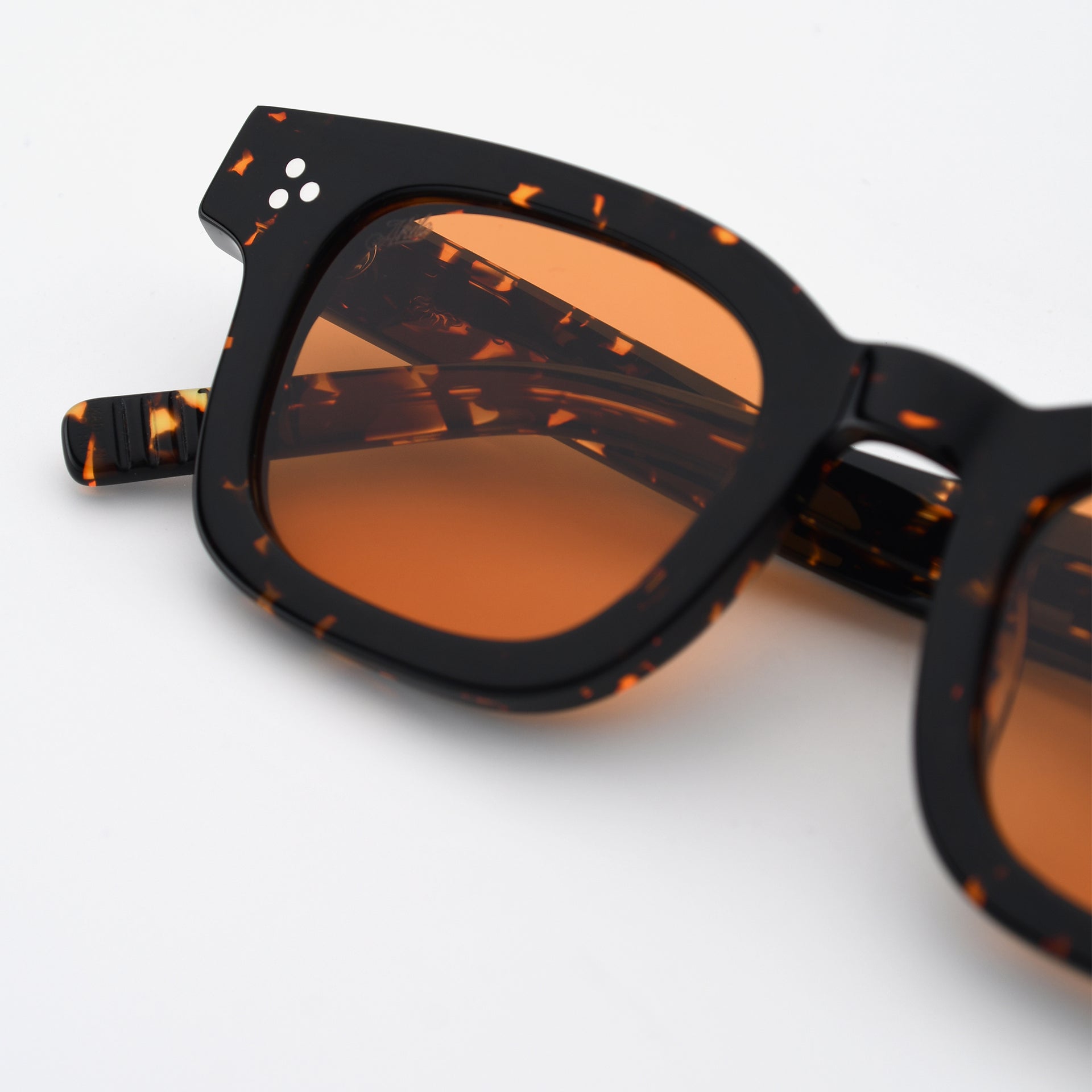 Tokyo Tortoise / Orange