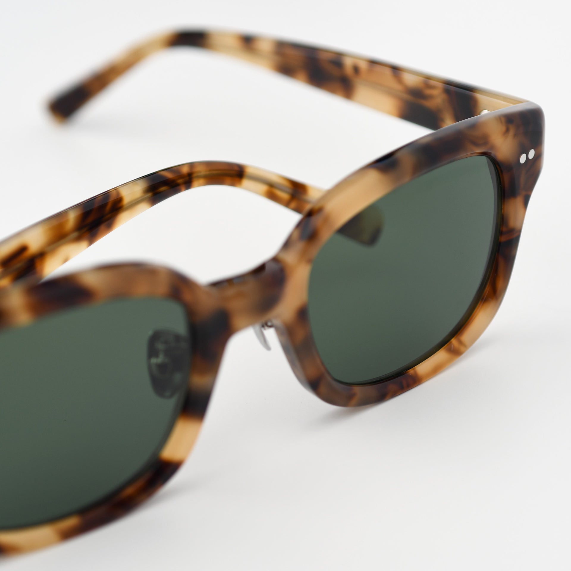 Tortoise / Pine