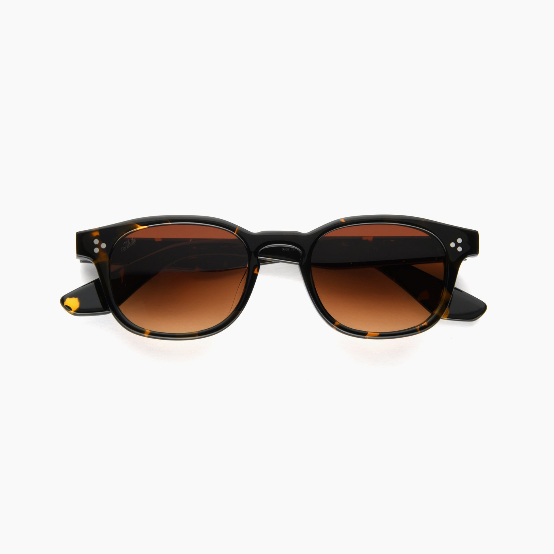 Tortoise / Umber Gradient