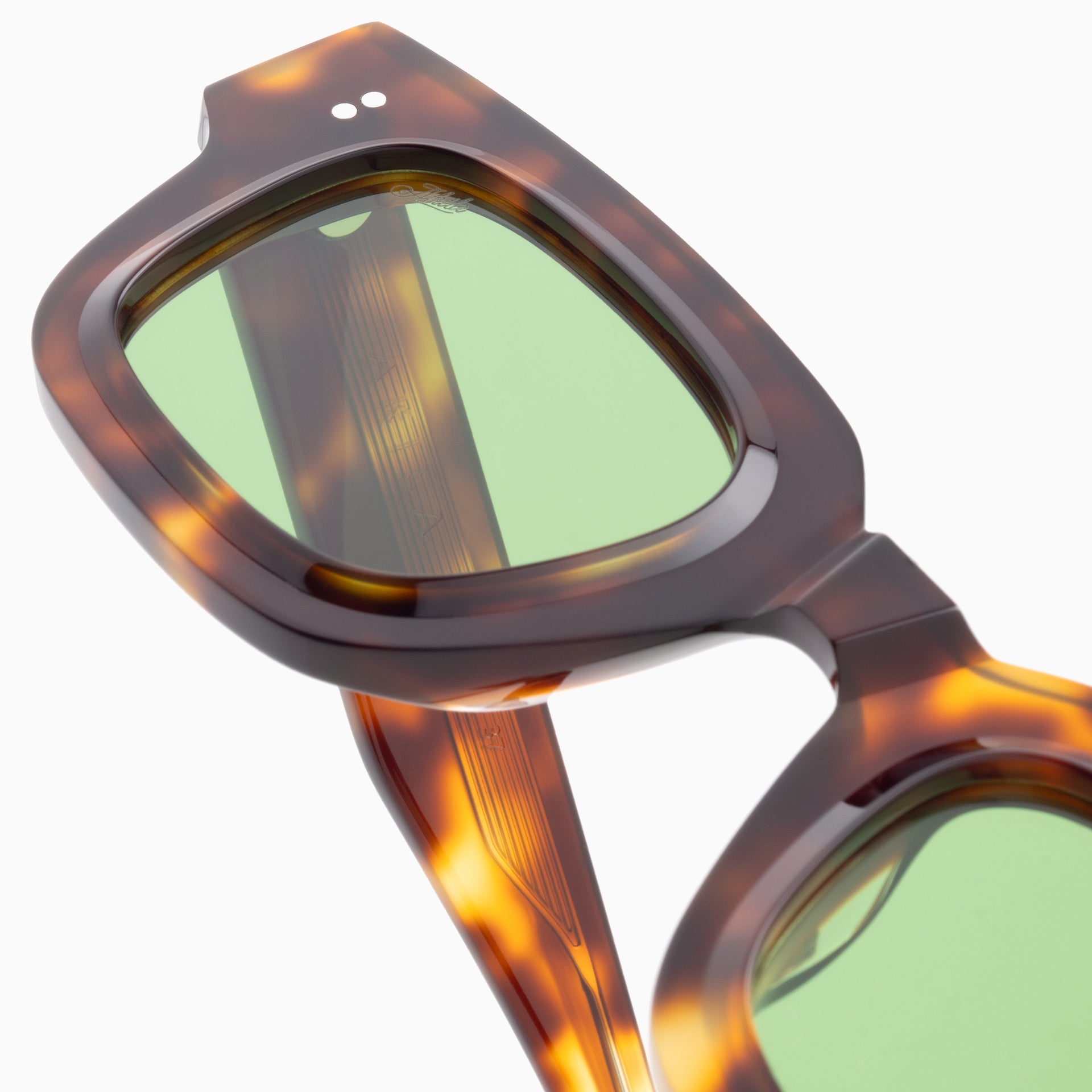 Tortoise / Green