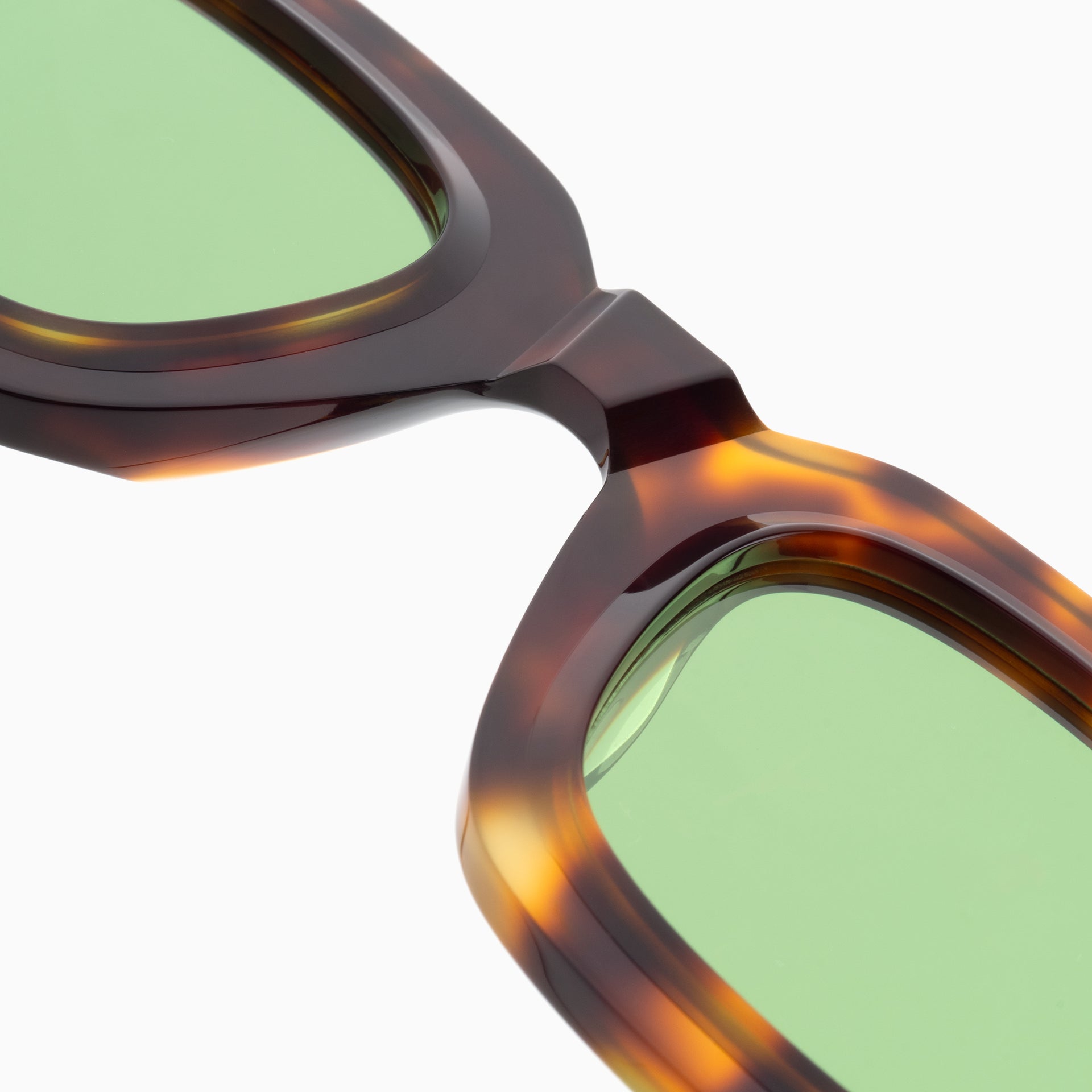 Tortoise / Green