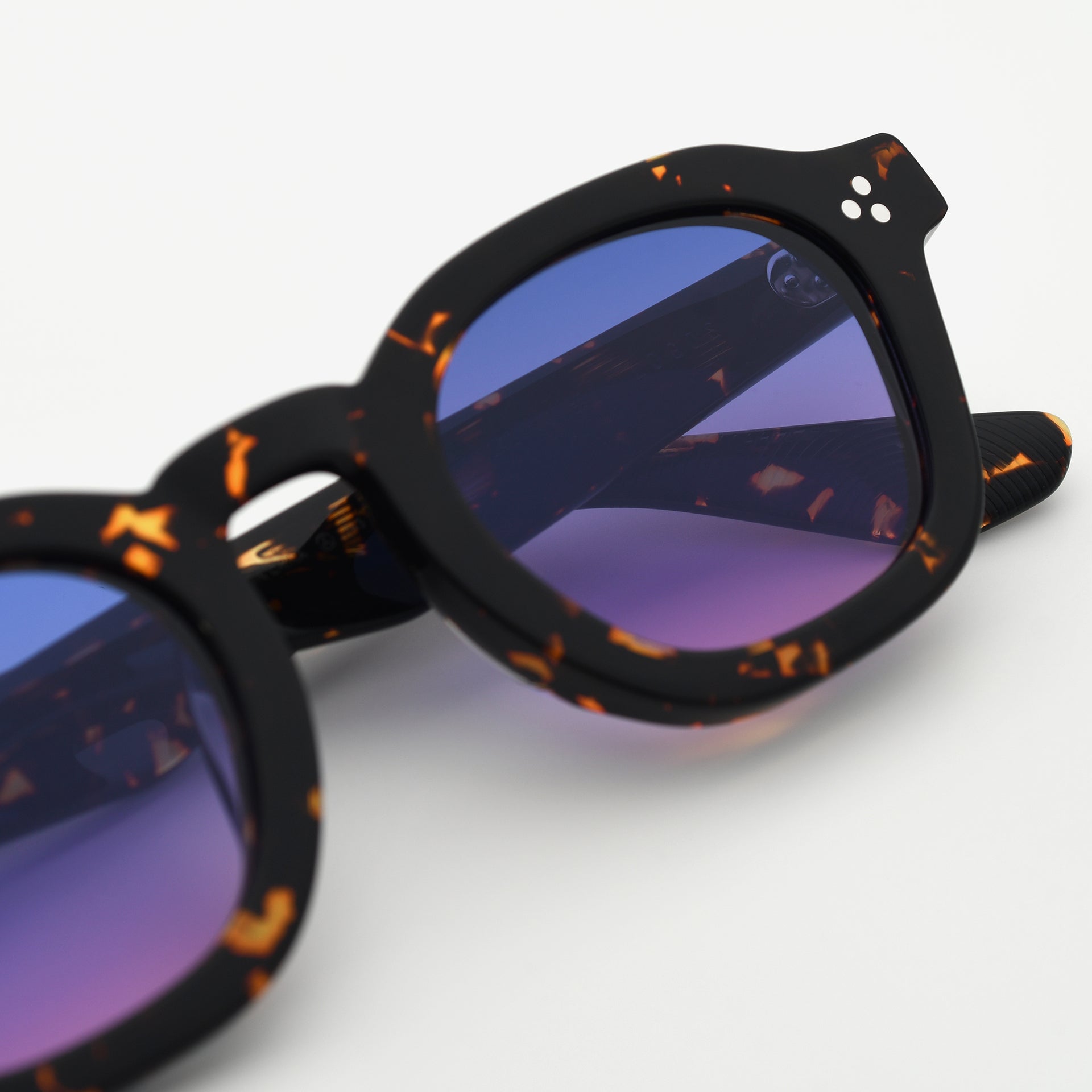 Tokyo Tortoise / Sunset
