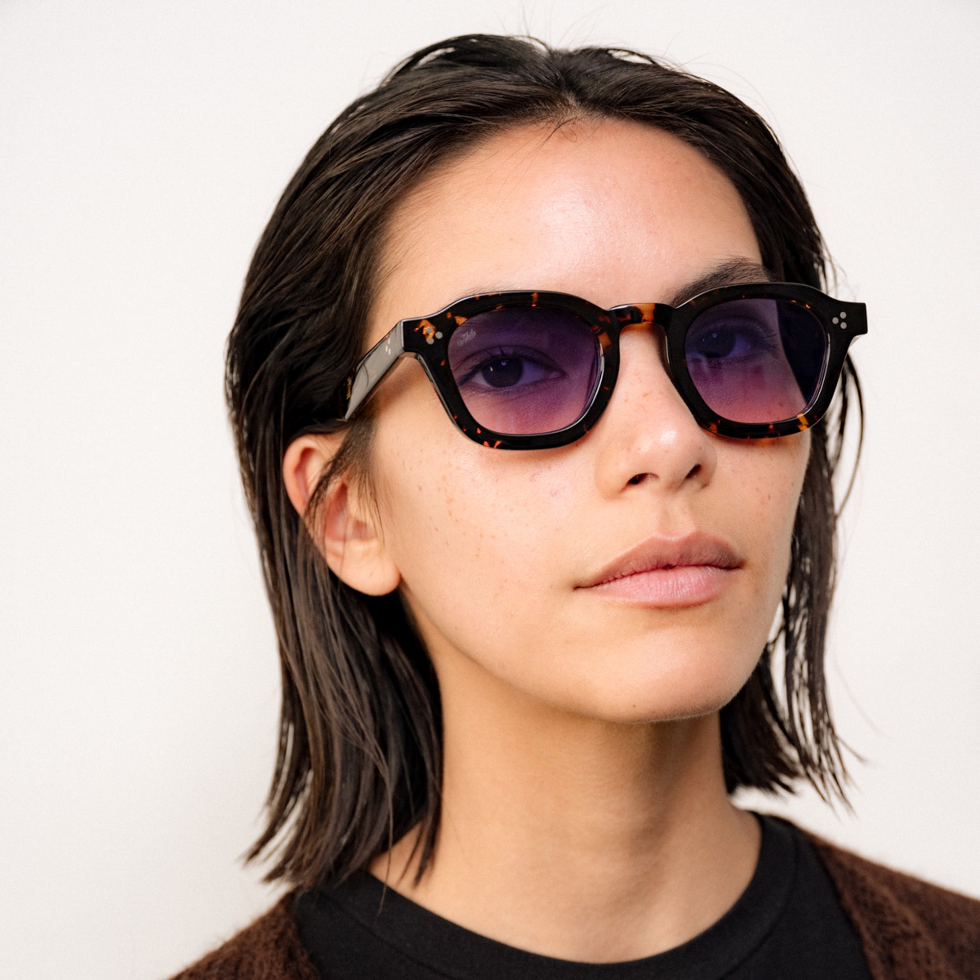 Tokyo Tortoise / Sunset