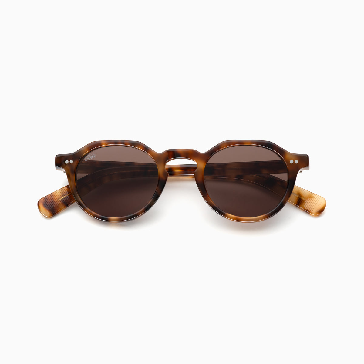 Tortoise / Plum