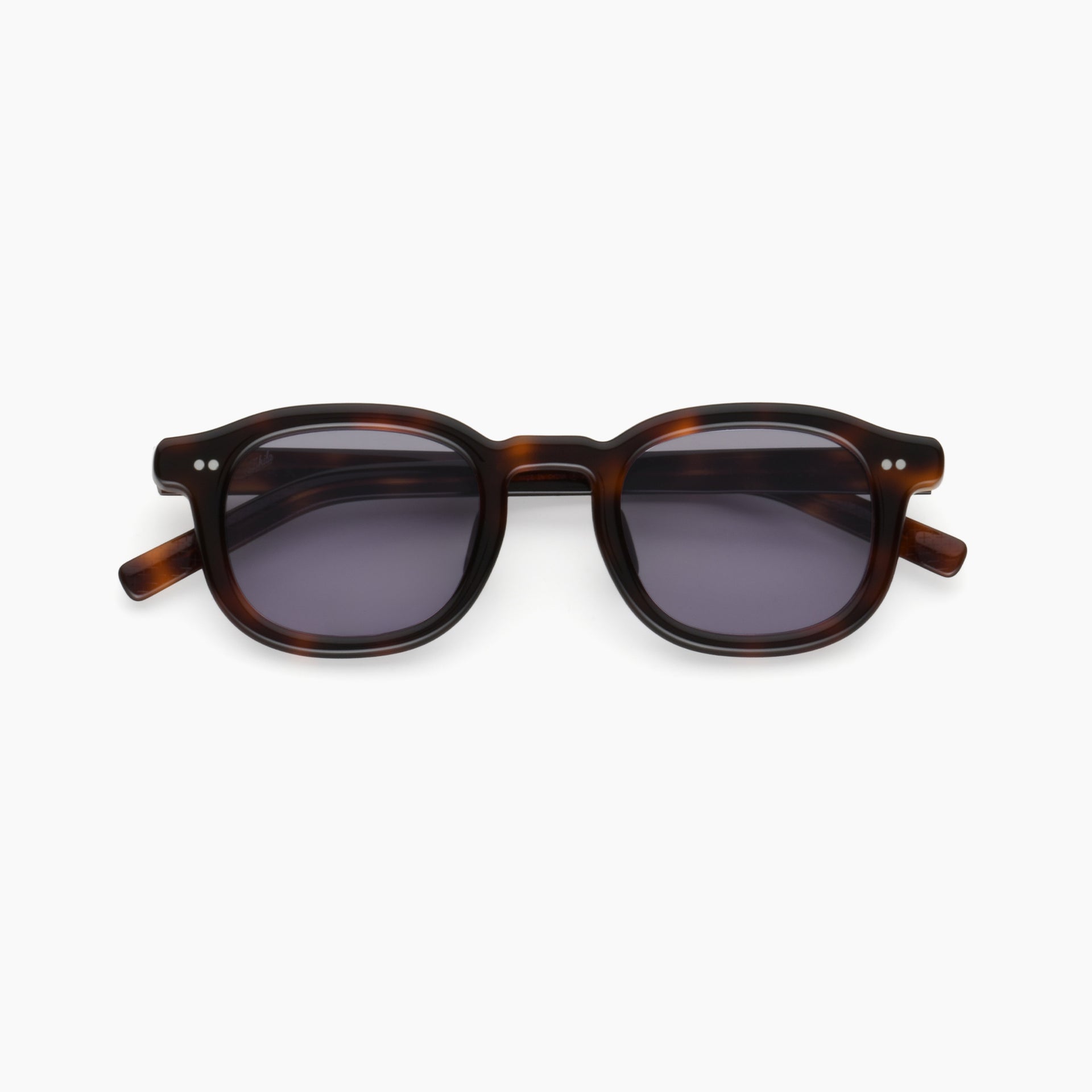 Chestnut Tortoise / Light-Adaptive Purple
