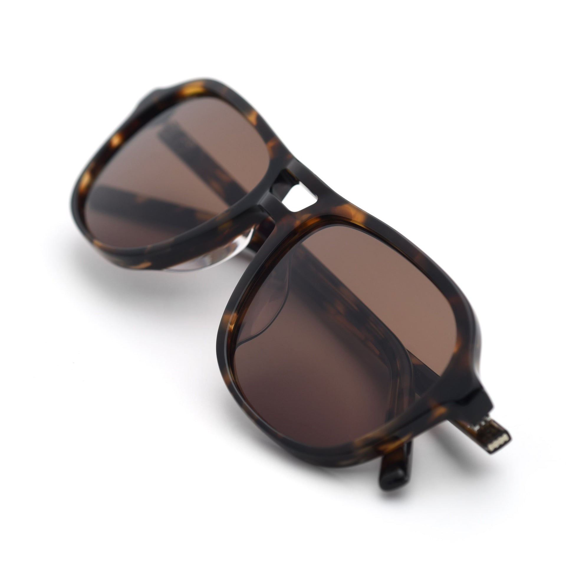 Tortoise / Brown