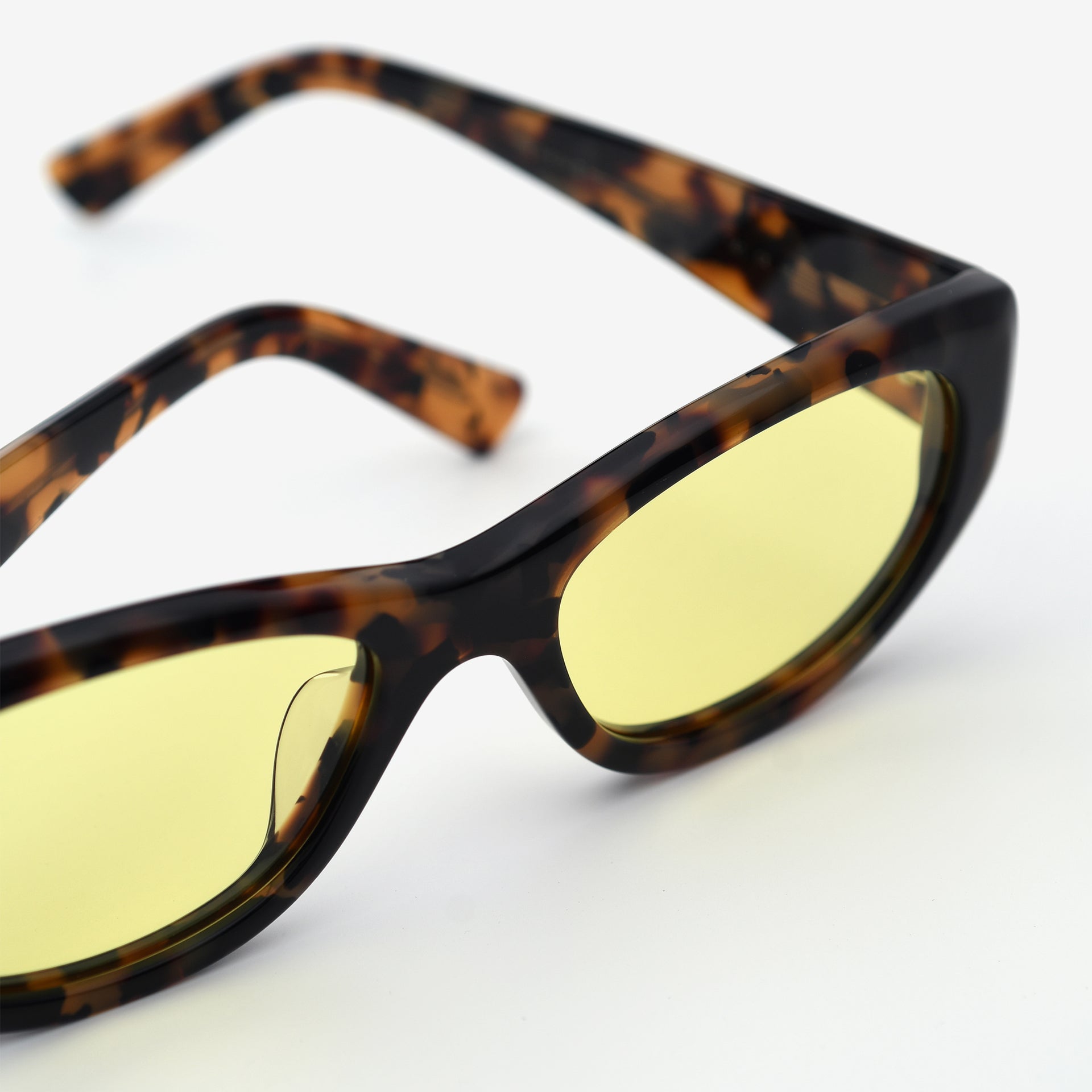 Tortoise / Yellow