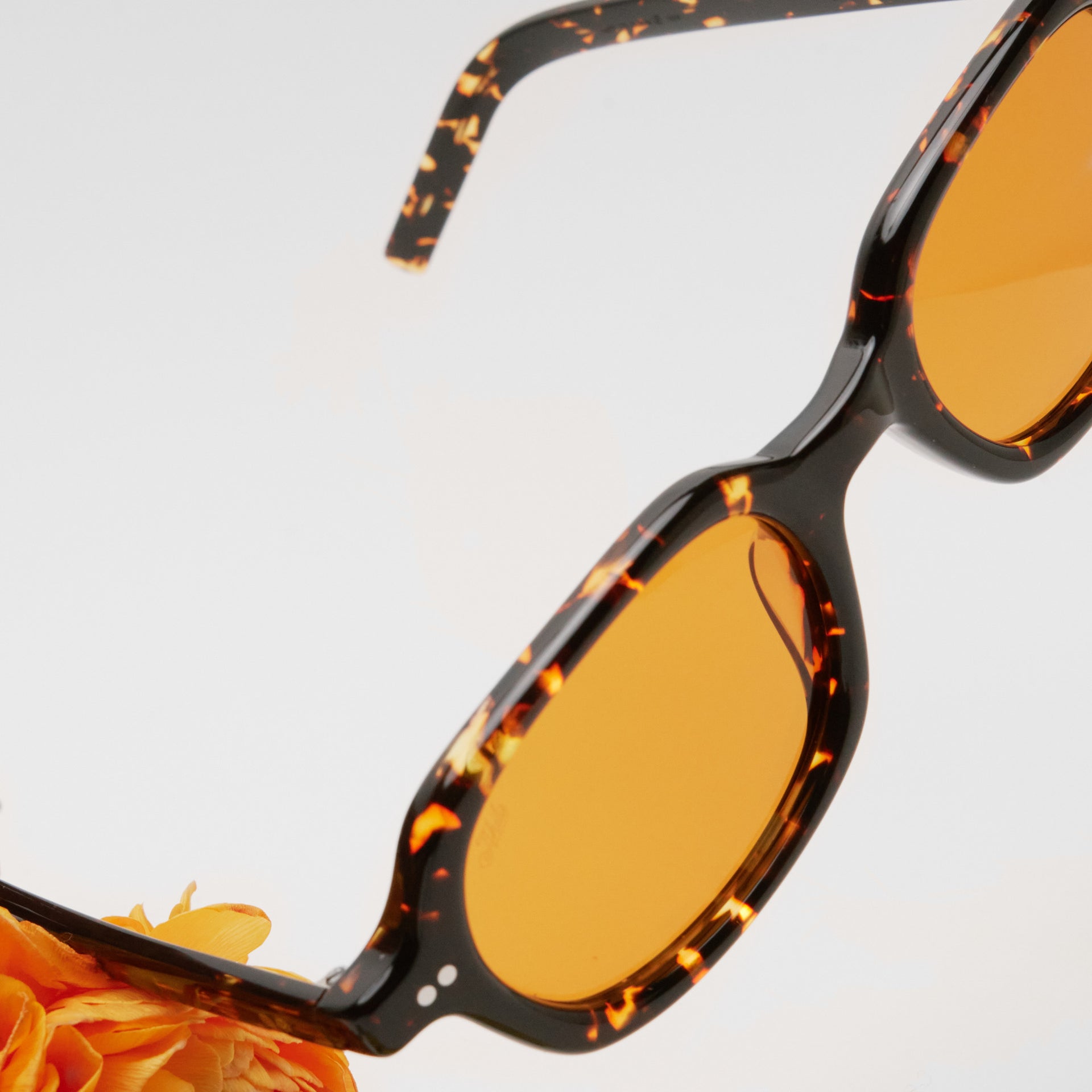 Tokyo Tortoise / Orange