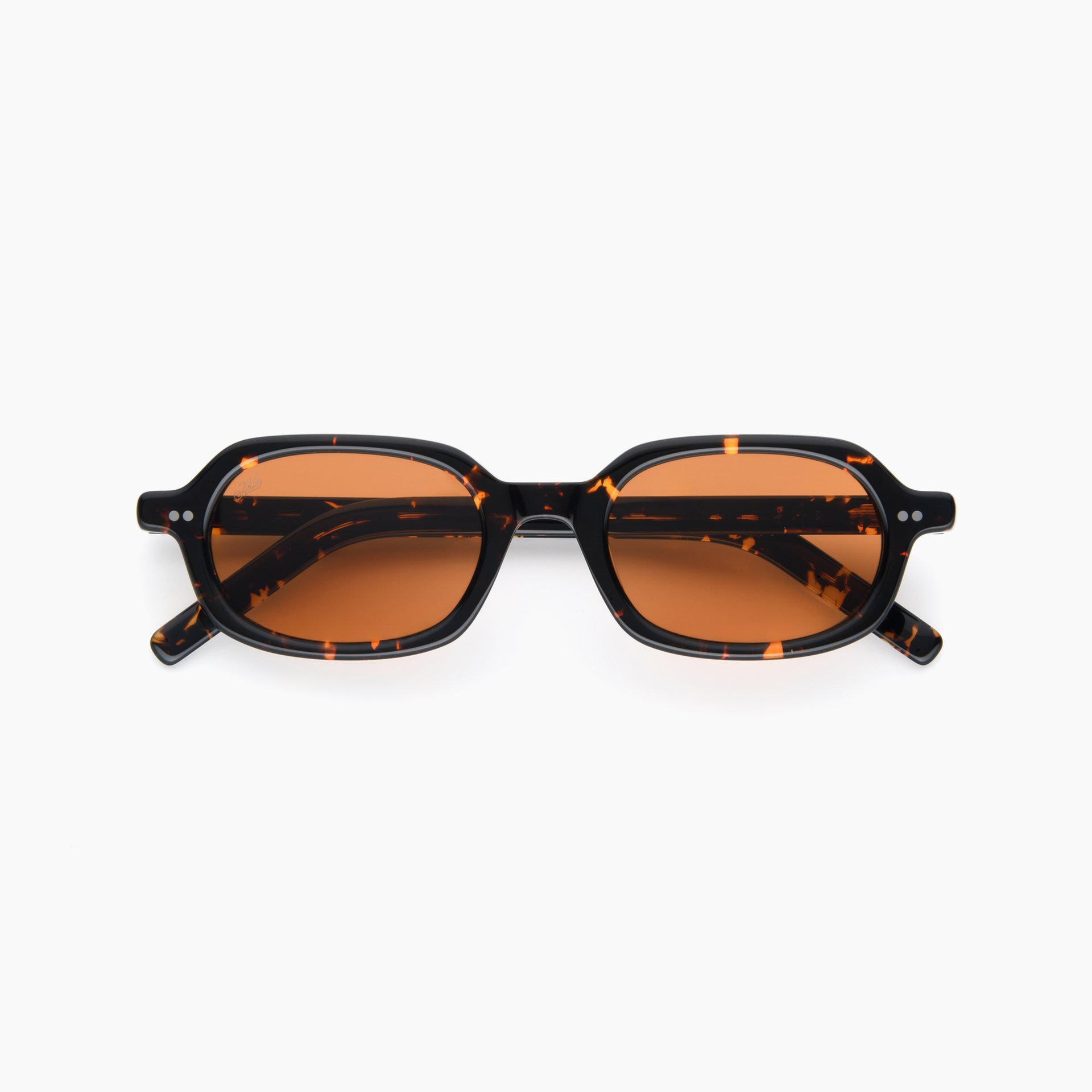 Tokyo Tortoise / Orange
