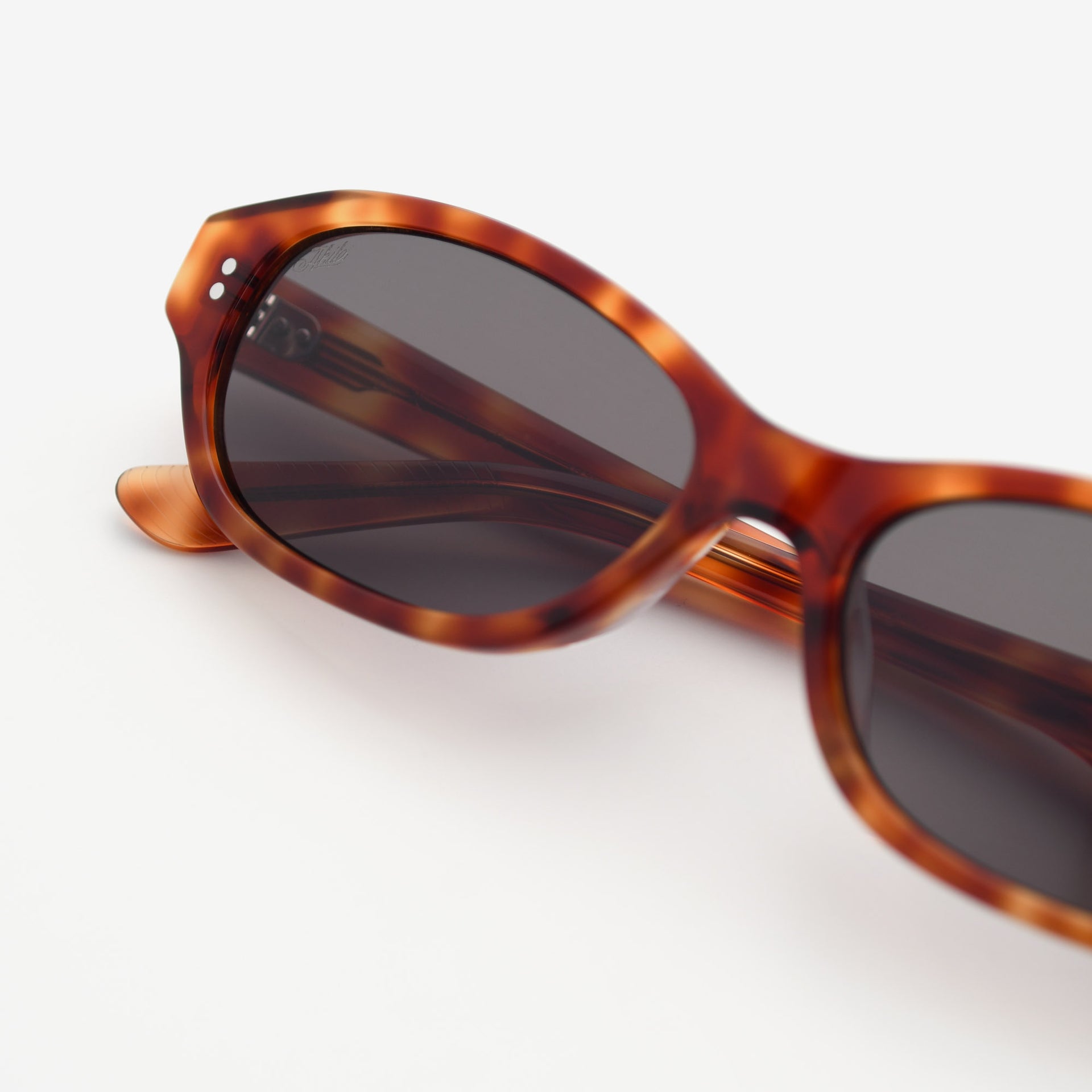 Toffee Tortoise / Asphalt