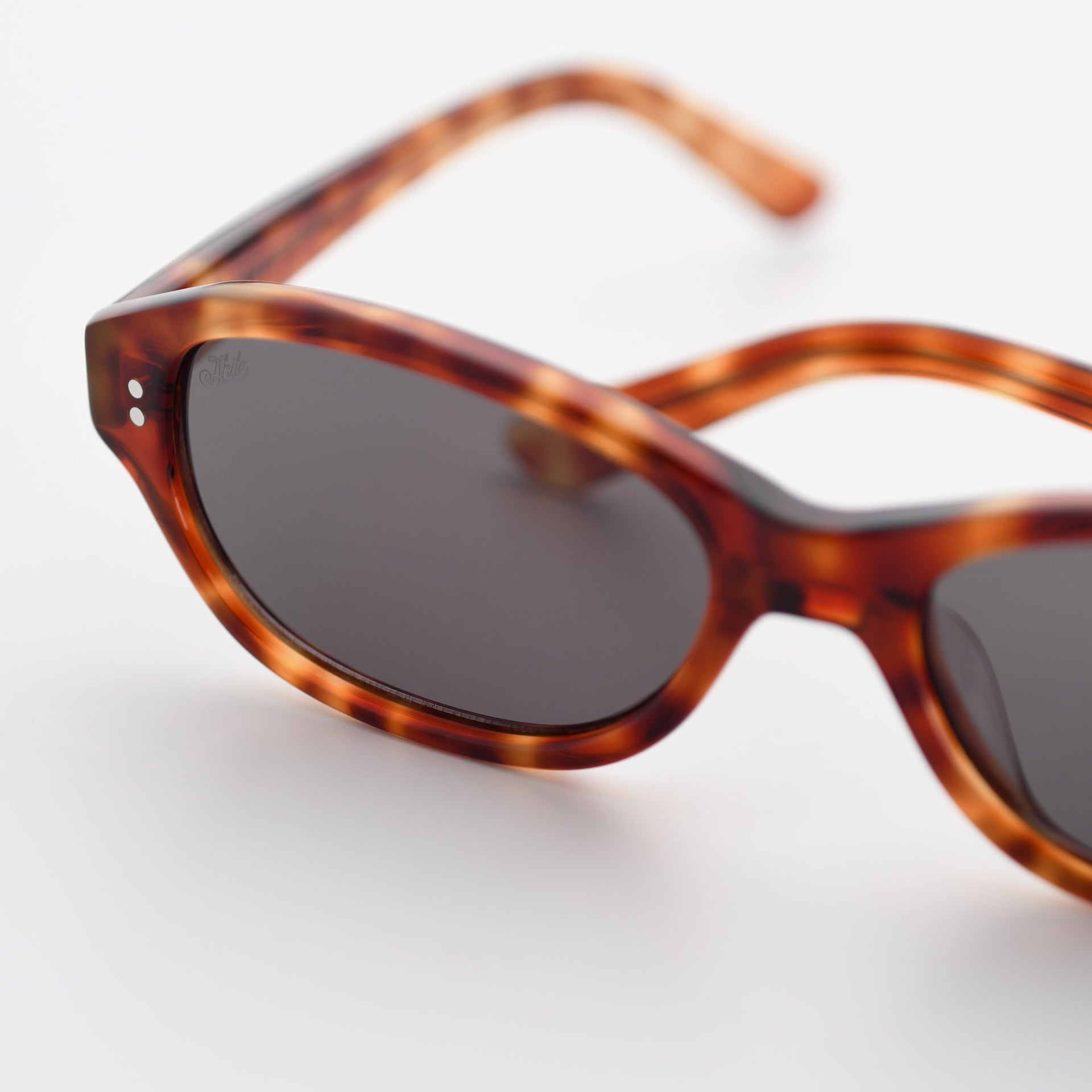 Toffee Tortoise / Asphalt