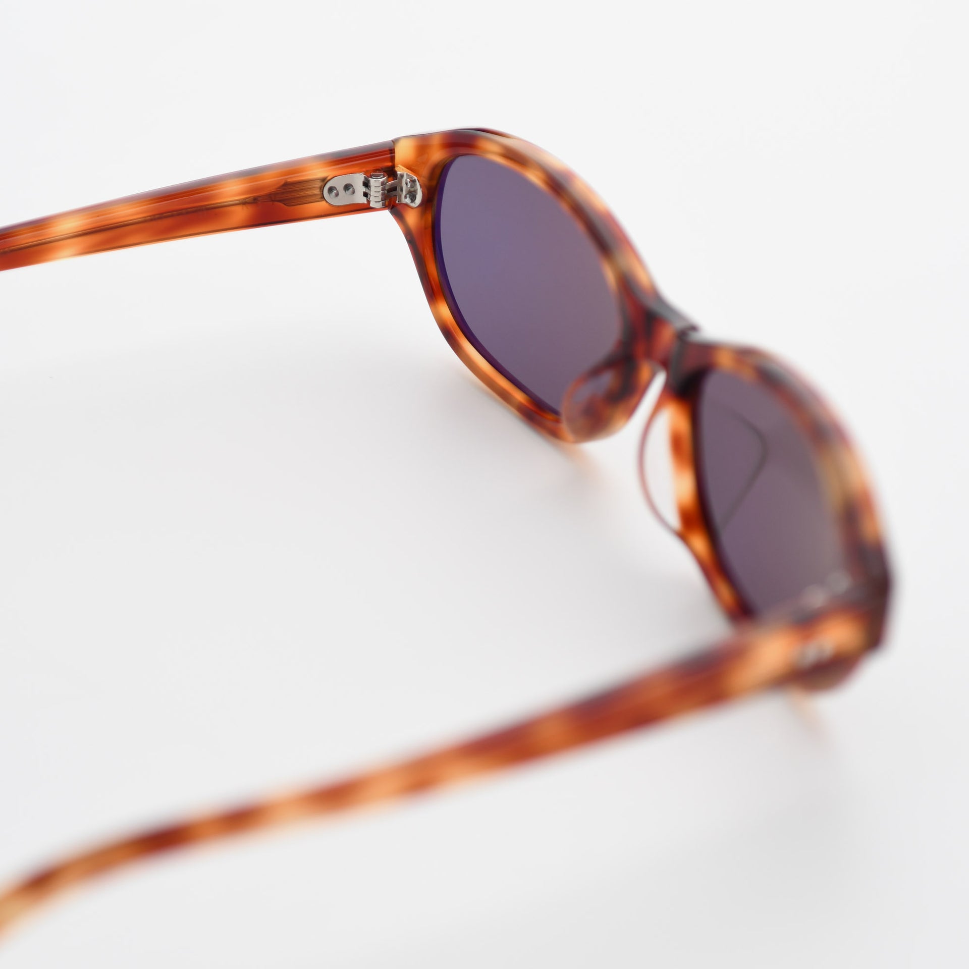 Toffee Tortoise / Asphalt