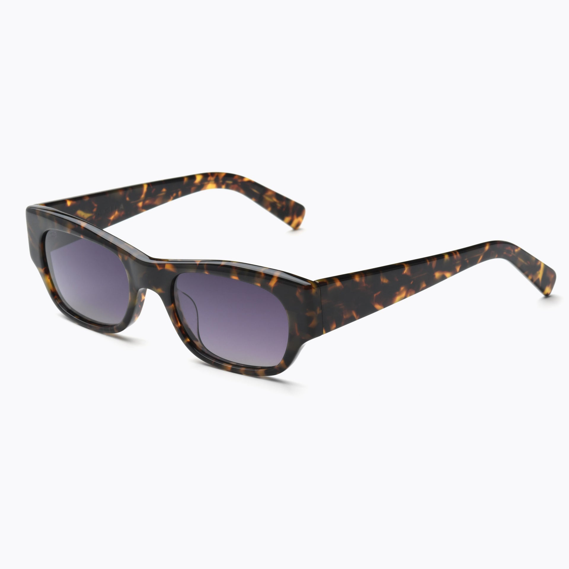 Tortoise / Purple Gradient