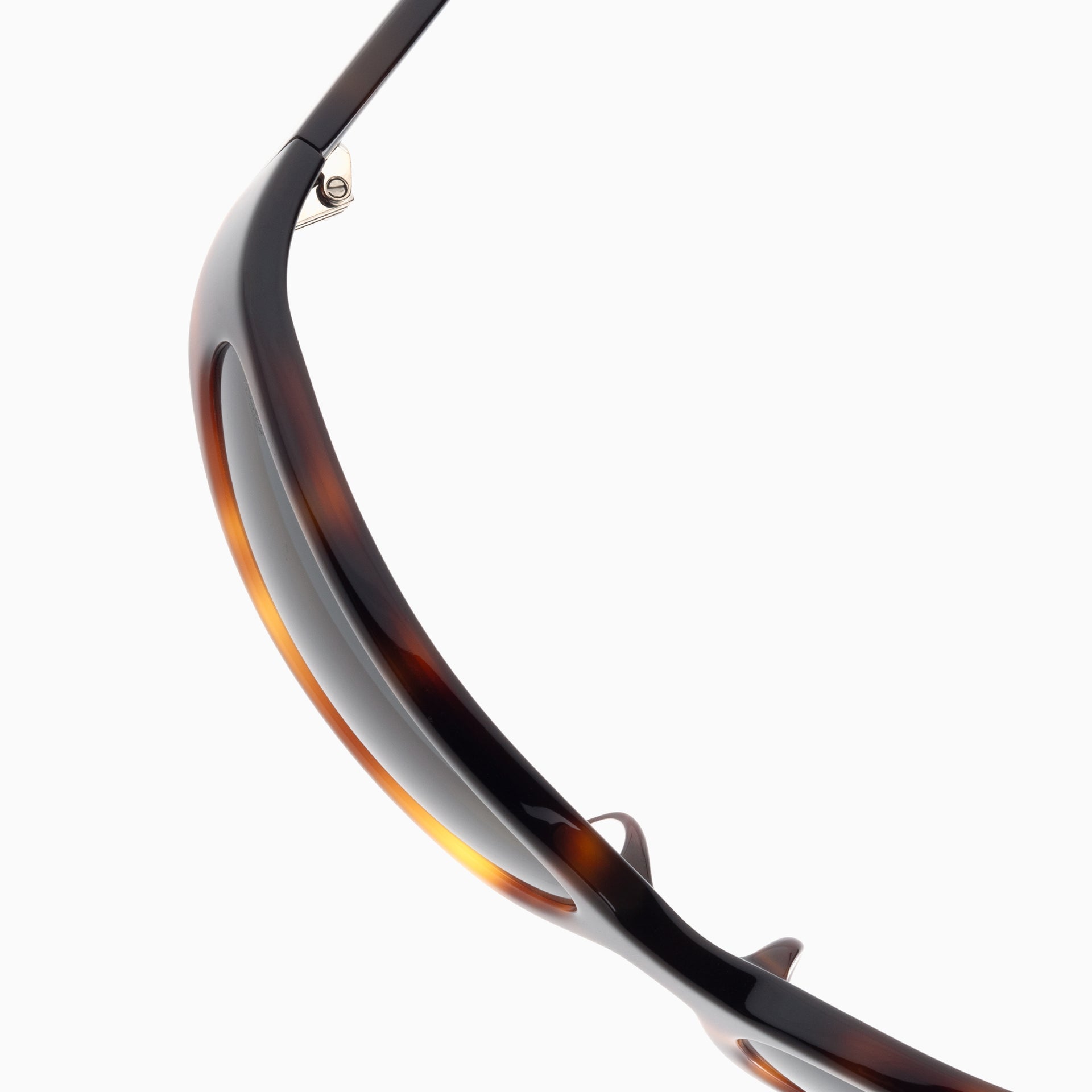 Tortoise / Black